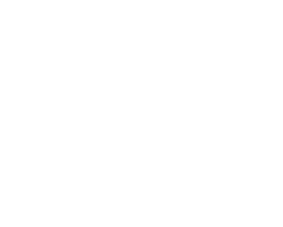 The Smart Group Logo